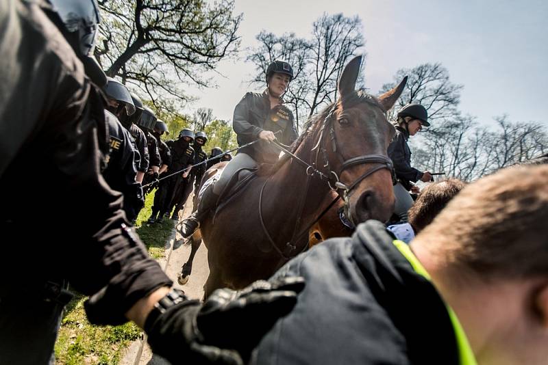 Policisté krajské pořádkové jednotky Pardubického kraje nacvičovali spolupráci s jízdním oddílem pražské policie.