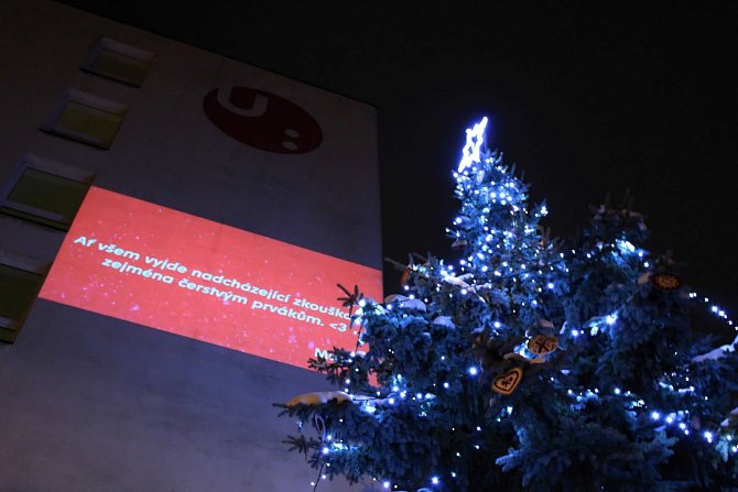 Vánoční strom přání září v kampusu Univerzity
