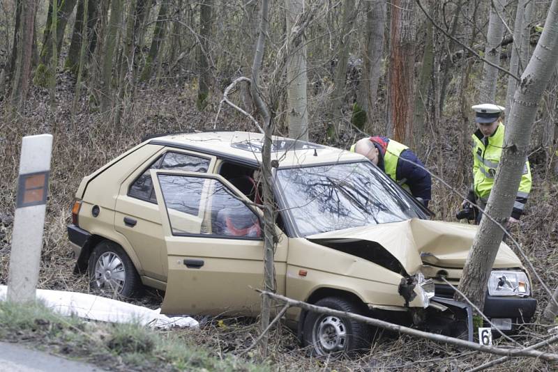 Senior ve favoritu náraz do stromu u silnice nepřežil