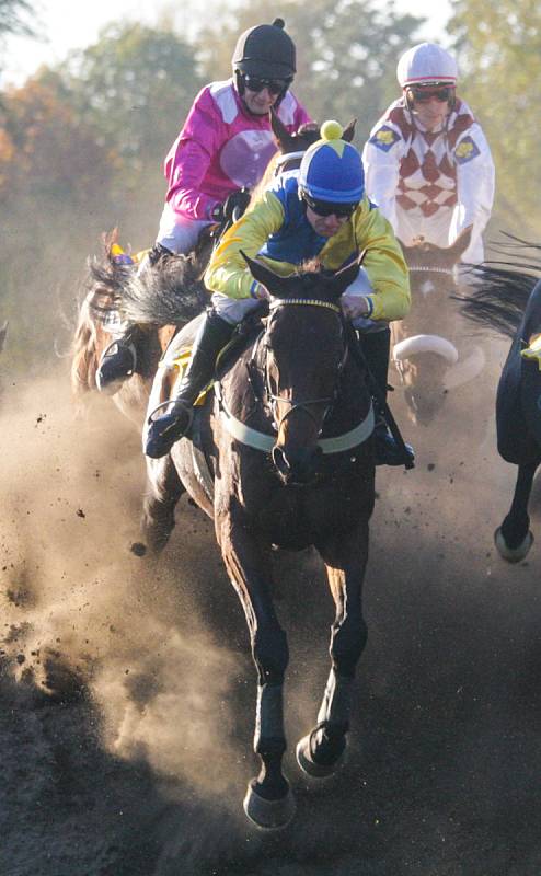 Vítězem 128. Velké pardubické s Českou pojišťovnou na dostihovém závodišti v Pardubicích se stal  Jan Faltejsek na Tzigane du Berlais.