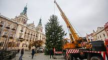 Do Pardubic doputoval letošní vánoční stromeček. Tentokrát dorazil z Dašic