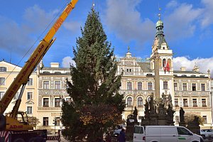 Příjezd vánočního stromu na Pernštýnské náměstí do Pardubic.