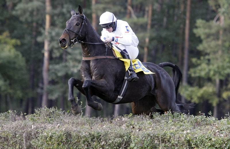 122. Velká pardubická s Českou pojišťovnou