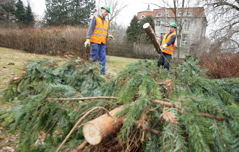 V Tyršových sadech se 15. března začalo kácet