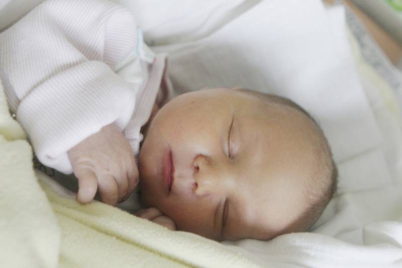 Anna Marie Průšková se narodila 19. ledna v 13:03 hodin. Vážila 3510 gramů a maminka Petra s tatínkem Petrem jsou z Medlešic.