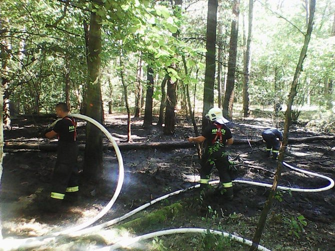 Požár lesa mezi Lázněmi Bohdaneč a Stéblovou se podařilo hasičům zastavit včas.
