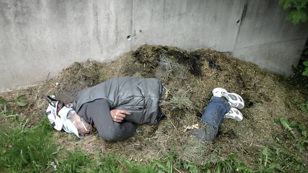 Opilý bezdomovec se po dvou lahvích rumu zavrtal do hromady posekané trávy.