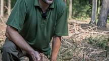 Sucho a kůrovec. Tato dvojice nyní ohrožuje české lesy. Oslabené dřeviny jsou náchylnější vůči cizopasným houbám i škůdcům. V okolí Čeperky na Pardubicku lesníci Lesů ČR ukázali, jak pomáhají lesu s tímto broukem bojovat.