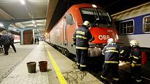 Střet s vlakem muž nepřežil. Části těla hledali hasiči a policisté na tří kilomtrech trati.