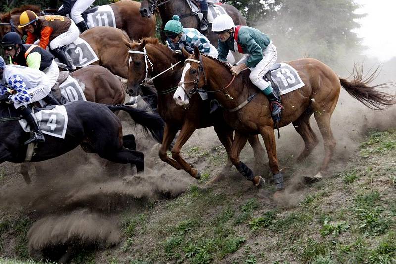 Poslední kvalifikace na Velkou pardubickou - Francouzský den