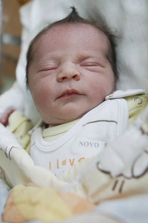 Nikola Beerová se narodila 28. července ve 4:02 hodin. Měřila 46 centimetrů a vážila 2950 gramů. Maminku Lucii u porodu podpořil tatínek Vladimír. Doma v Novém Městě nad Cidlinou čeká ještě tříletá Viktorie. 