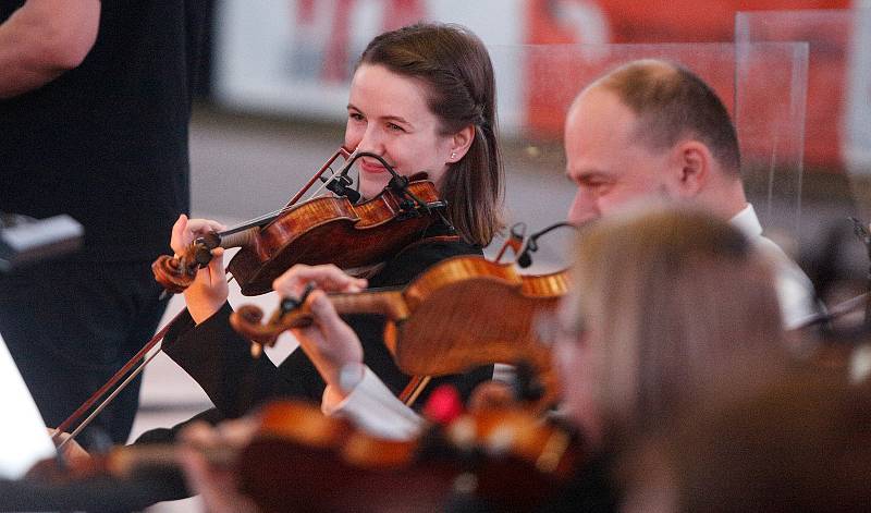 9. ročník projektu Hrajeme spolu za Pardubice zahájil koncert Komorní filharmonie Pardubice s kapelou Sto zvířat, na nějž plynule navázalo atraktivní derby mezi Beksou a Královskými sokoly.