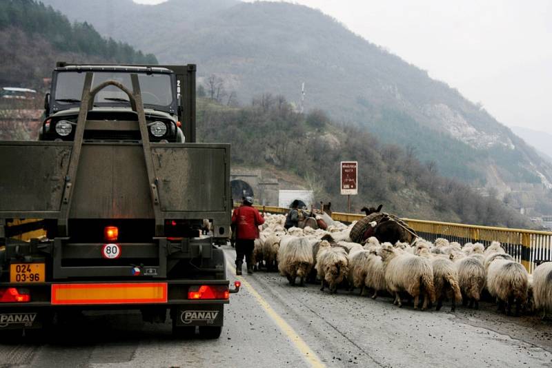 V Rumunsku se vojenské tatry musely vypořádat s nástrahami v podobě rozbitých silnic ale třeba i ovčích stád