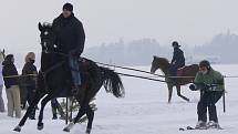 Horseskijöring v Janově u Litomyšle