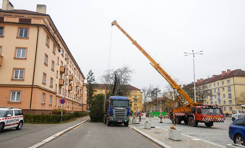 Převoz vánočního stromu, tentokát jedle douglasky, na Dukelské náměstí ze Starých Ždánic. Měří 13 metrů a váží zhruba 850 kilogramů.