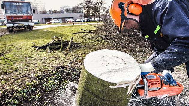 Vichřice zametla centrum Pardubic. Kolem hotelu Labe museli popadané stromy likvidovat pardubičtí dobrovolní hasiči. 