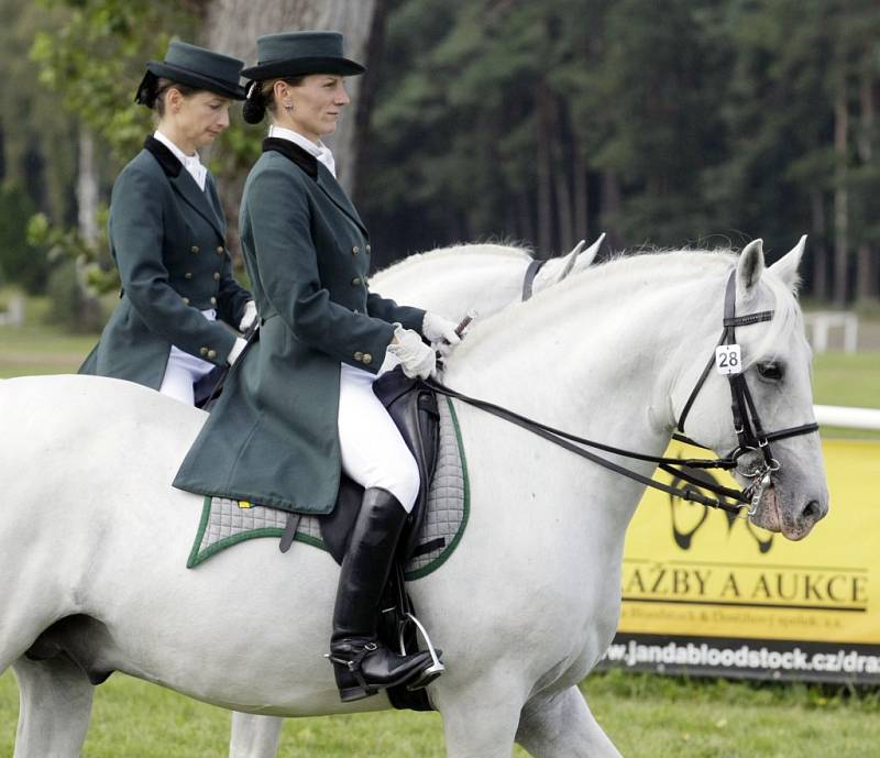 Koně v akci na pardubickém dostihovém závodišti