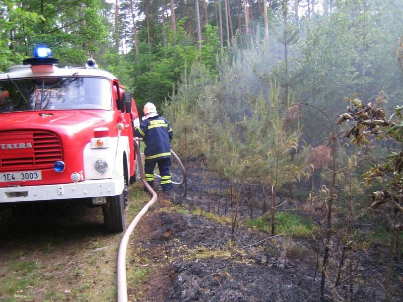 Lesní požár závěrem května 2009