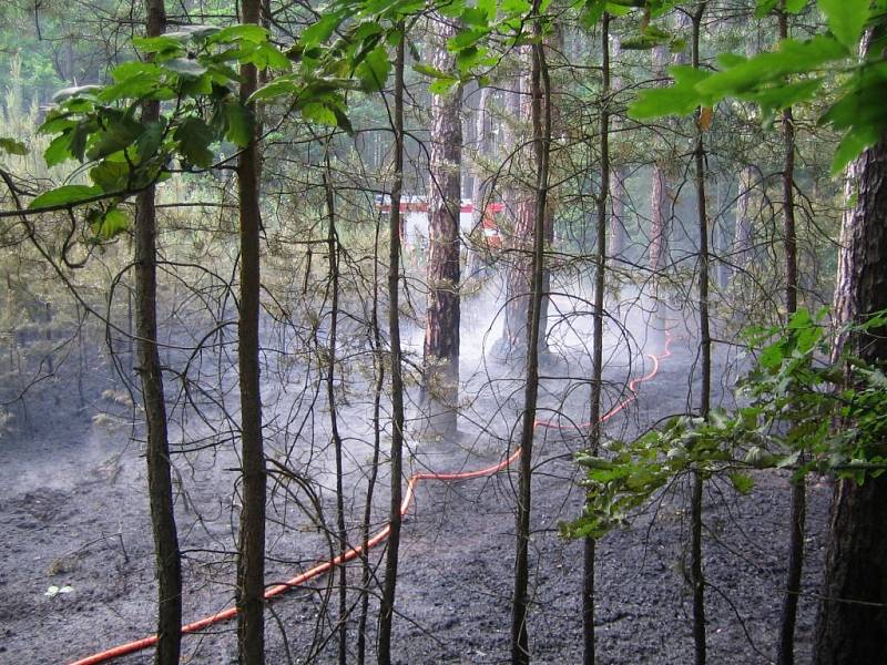 Lesní požár závěrem května 2009
