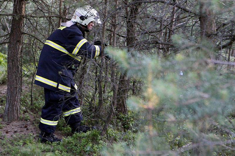 Do lesů u Holic se zřítil vojenský bitevník L-39