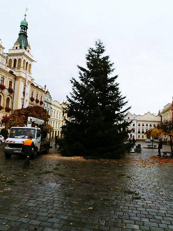 Pardubické náměstí už také zdobí vánoční strom