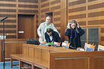 Krajský soud v Hradci Králové v pondělí projednával kauzu pojistných podvodů a falešných úrazů. Hlavní obžalovaný Eduard Pekař na snímku v zeleném tričku.