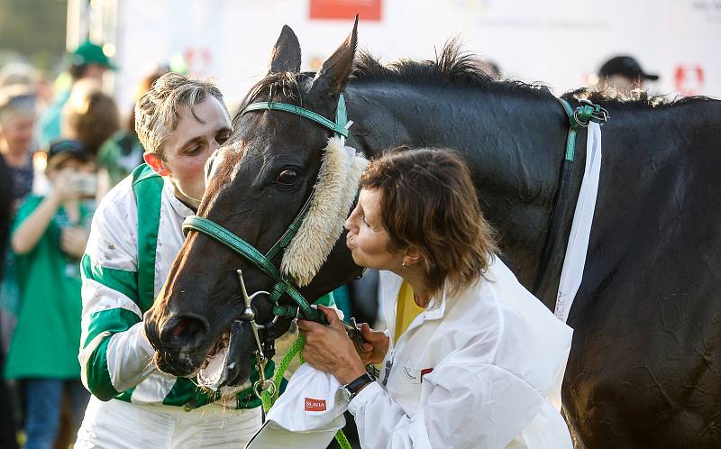 Vítězem 129. Velké pardubické se Slavia pojišťovnou na pardubickém dostihovém závodišti se stal Theophilos s Josefem Bartošem.