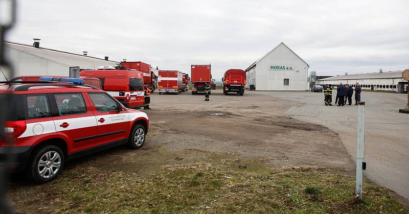 V Česku je druhé ohnisko ptačí chřipky. Nemoc se objevila v komerčním chovu Moras Moravany ve Slepoticích na Pardubicku.