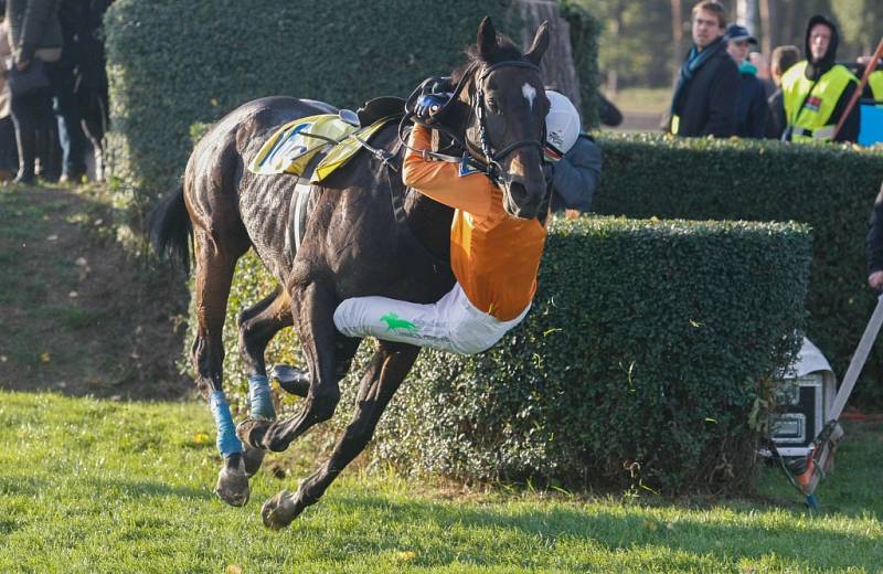 125. Velká pardubická - hlavní dostih. Sertash Ferhanov alias klíště.