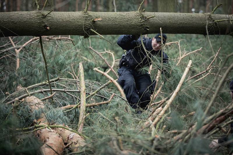 Policisté v okolí Břehů u Přelouče pátrali po nezvěstném muži. 