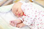 MAGDALÉNA SEJKOROVÁ se narodila 15. června v 10 hodin a 37 minut. Měřila 51 cm a vážila 3520 g.