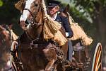 Den starokladrubského koně v Národním hřebčíně Kladruby