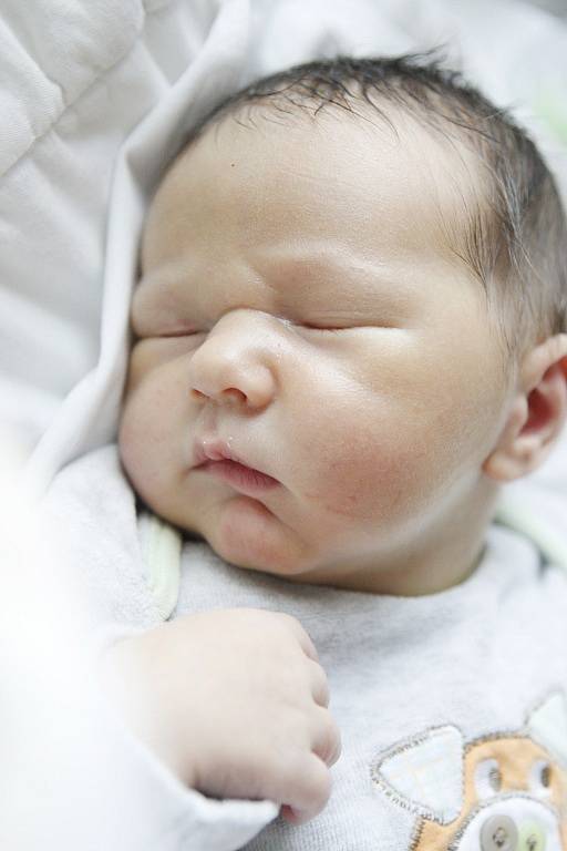Lukáš Tichý se narodil 27. ledna v 9:00 hodin. Měřil 52 centimetrů a vážil 4010 gramů. Maminka Veronika a tatínek Luděk mají doma v Přelouči ještě malého Vojtu (2,5).