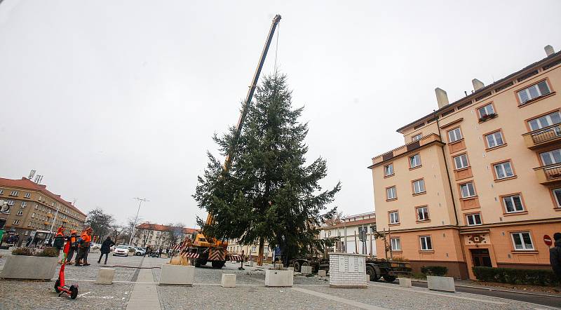 Převoz vánočního stromu, tentokát jedle douglasky, na Dukelské náměstí ze Starých Ždánic. Měří 13 metrů a váží zhruba 850 kilogramů.