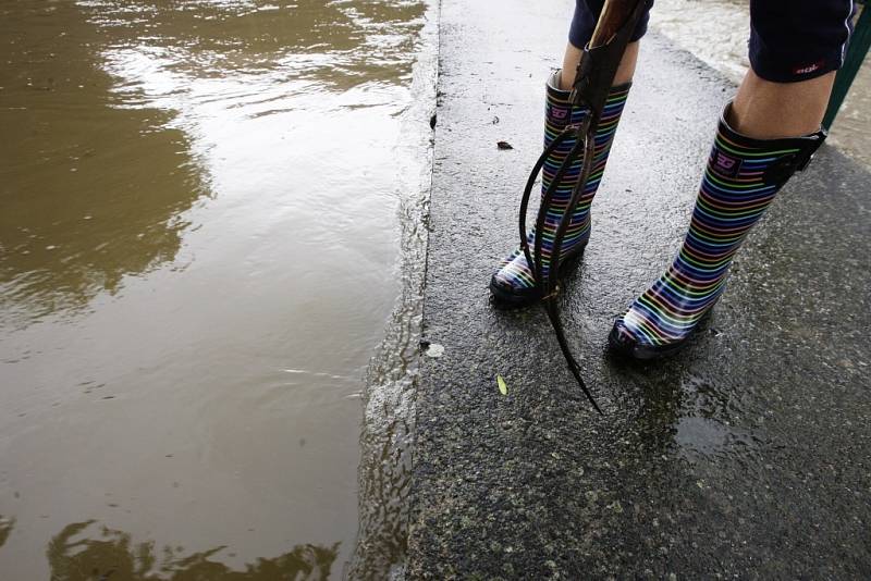 Věra Kopřivová sleduje stoupající hladinu z tenkého mostku už od noci. Zatím odklízí naplaveniny zachycené o mostek. Voda už se pod něj nevejde.