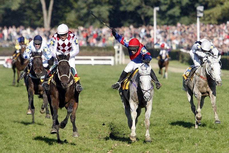 Sedmý triumf. Josef Váňa starší s Tiumenem zvítězil v jubilejní 120. Velké pardubické. Druhý doběhl Amant Gris a třetí skončila bělka Sixteen.