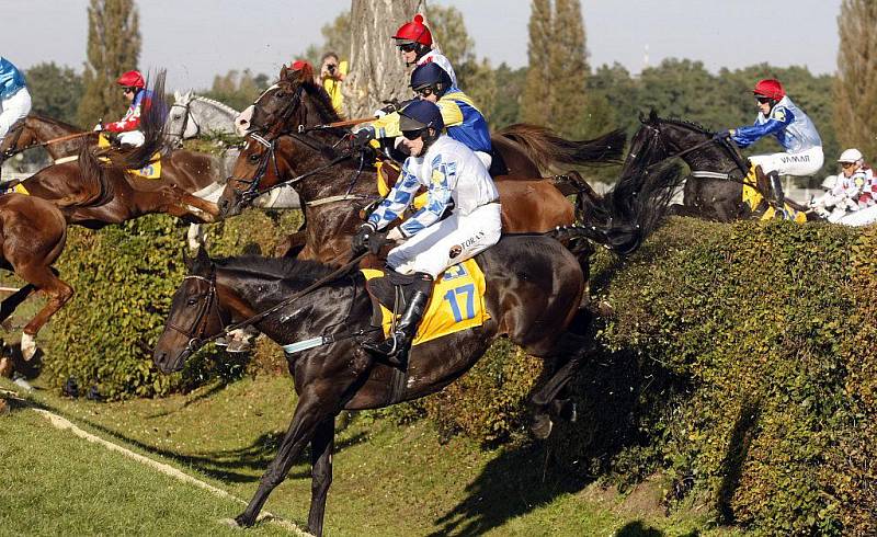 Sedmý triumf. Josef Váňa starší s Tiumenem zvítězil v jubilejní 120. Velké pardubické. Druhý doběhl Amant Gris a třetí skončila bělka Sixteen.