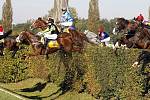 Sedmý triumf. Josef Váňa starší s Tiumenem zvítězil v jubilejní 120. Velké pardubické. Druhý doběhl Amant Gris a třetí skončila bělka Sixteen.