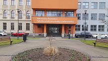 Fakulta elektrotechniky a informatiky na Univerzitě Pardubice, kde v pátek 4. února probíhal den otevřených dveří. Výhodou bylo, že mohl byt po dlouhé době opět „naživo“.