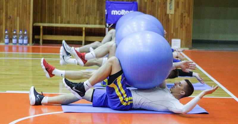 Sraz české reprezentace mužů před kvalifikačním zápasem o Světový pohár  v Číně 2019 s Islandem. Trénink v pardubické hale Na Dukle.