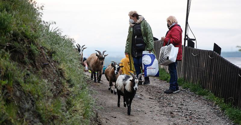 Východočeské divadlo uvedlo Tři veterány