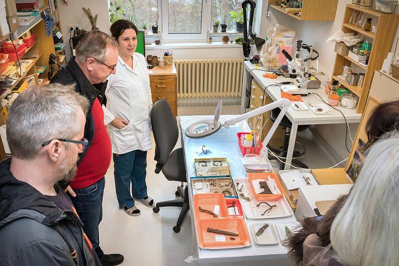 Šikovné ruce restaurátorů a konzervátorů Východočeského muzea v Pardubicích jsou klíčové pro uchovávání sbírkových předmětů i vytváření atraktivních výstav a expozic.