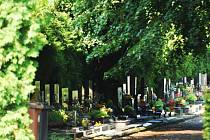 Hřbitov u pardubického krematoria, ilustrační foto. 