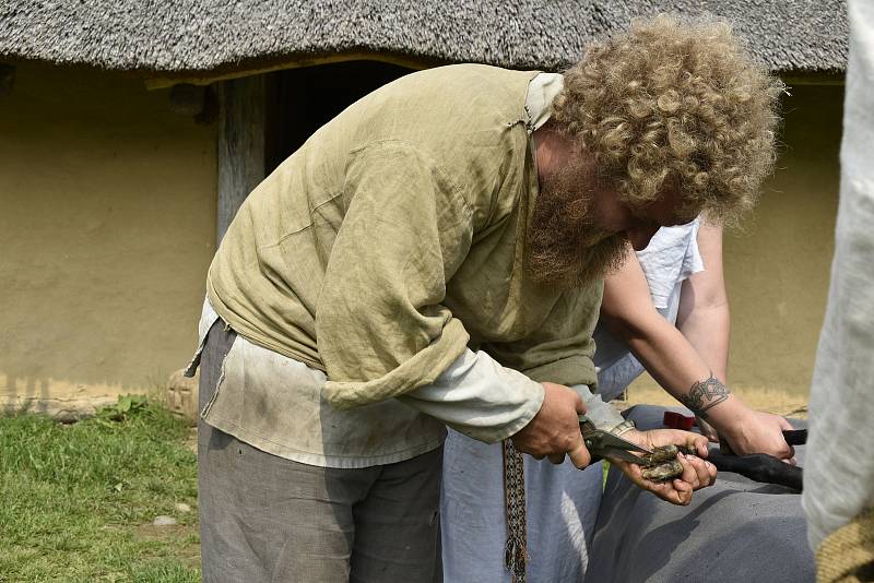 V Keltském skanzenu v Nasavrkách se v sobotu stříhaly ovce pérovým nůžkami.