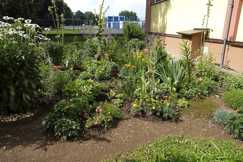 Vášnivá zahradnice Hana Malá chce ukázat, že zahradničit mohou i lidé z paneláku v centru Pardubic.
