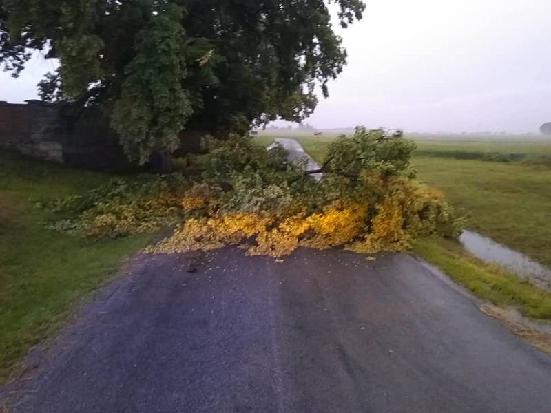 Hasiči odstraňují také následky silného větru