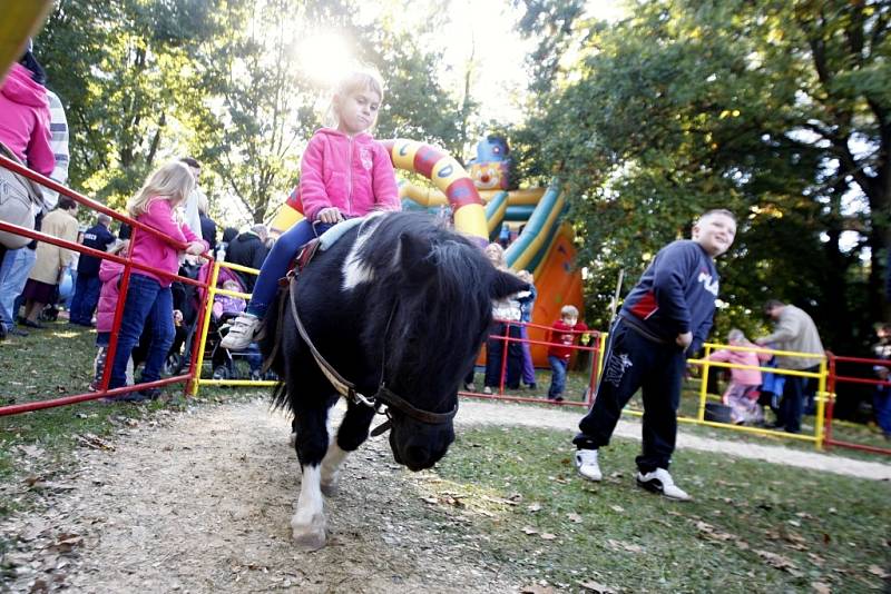 XIV. Staročeská polabinská pouť