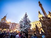 Slavnostní rozsvěcení vánočního stromu v Pardubicích na Pernštýnském náměstí.
