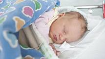 Karolína Musilová se narodila 7. června v 8:40 hodin. Měřila 51 centimetrů a vážila 3540 gramů. Maminku Elišku u porodu podpořil tatínek Ondřej. Rodina si svou prvorozenou dceru odveze zpět do Kladiny. 