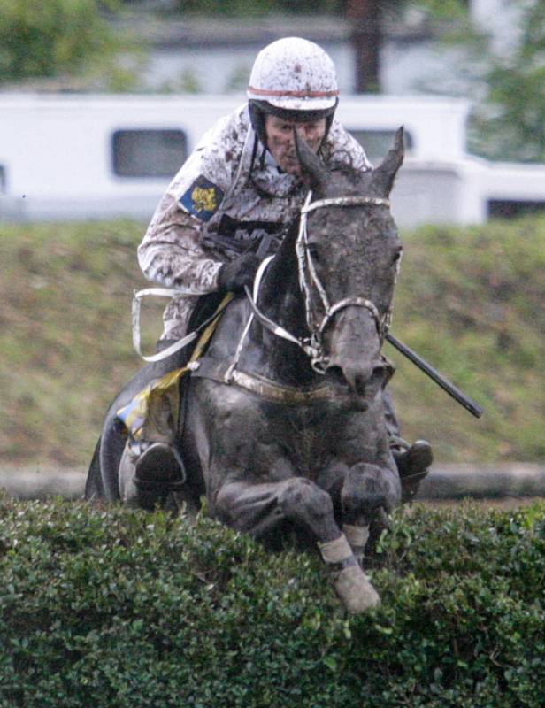 Velká pardubická 2017. 